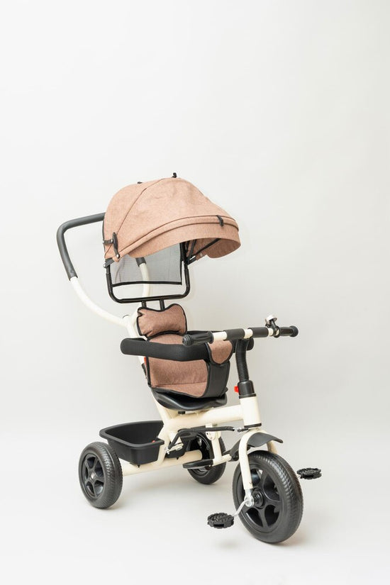Tiny Rider Tricycle