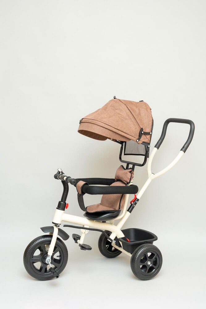 Tiny Rider Tricycle