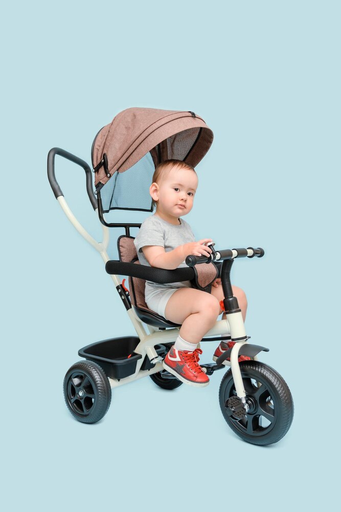 Tiny Rider Tricycle